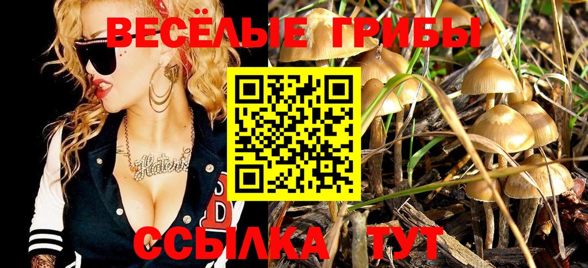 Псилоцибиновые грибы MAGIC MUSHROOMS Лабытнанги